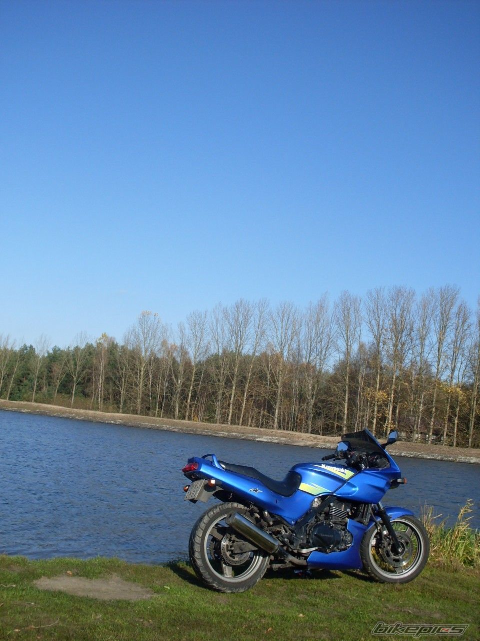 Photo 1467131