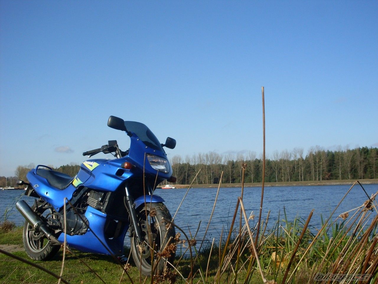 Photo 1467134