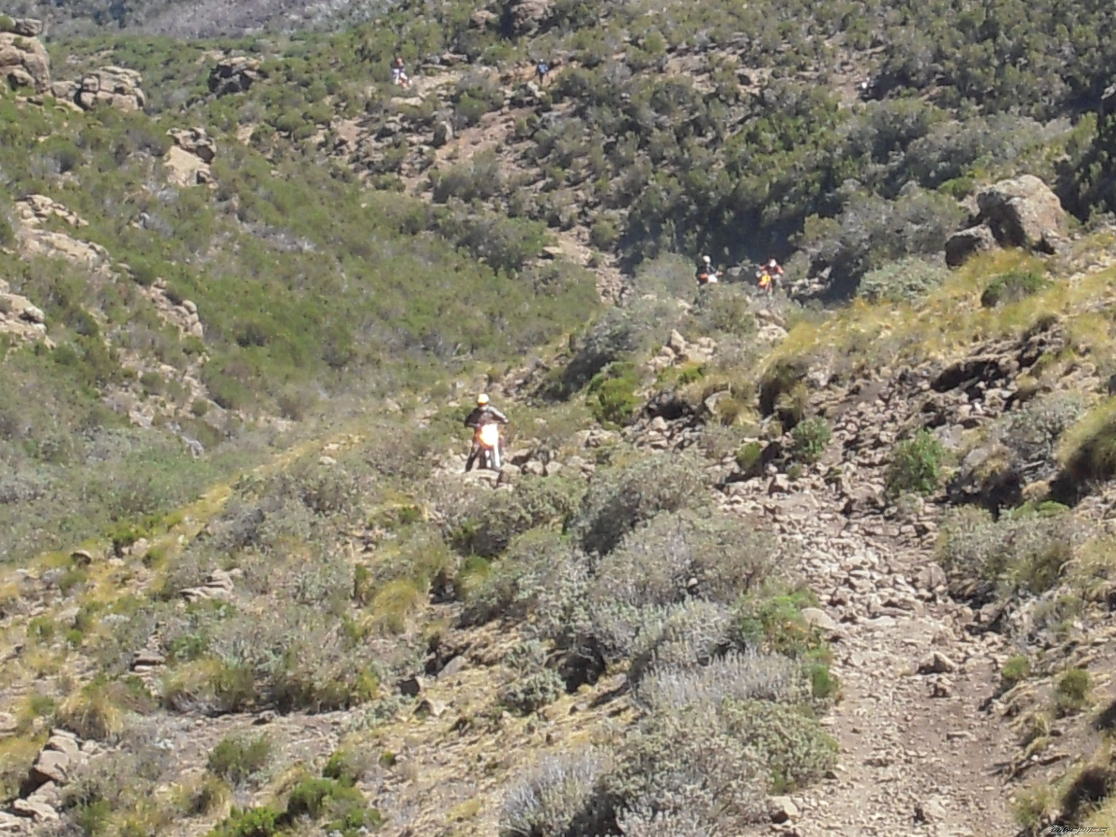 Photo 1467202