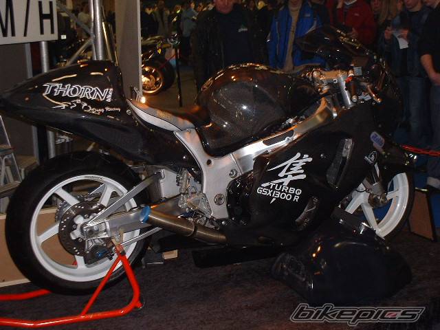 Photo 146729