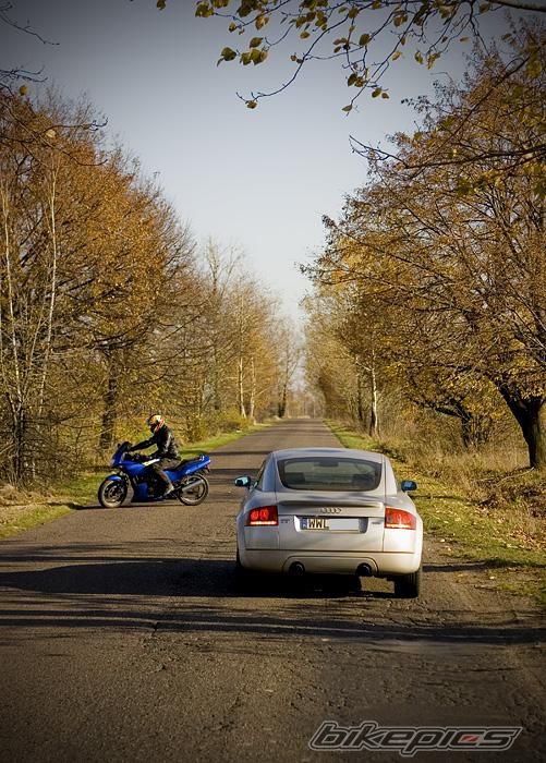 Photo 1467325