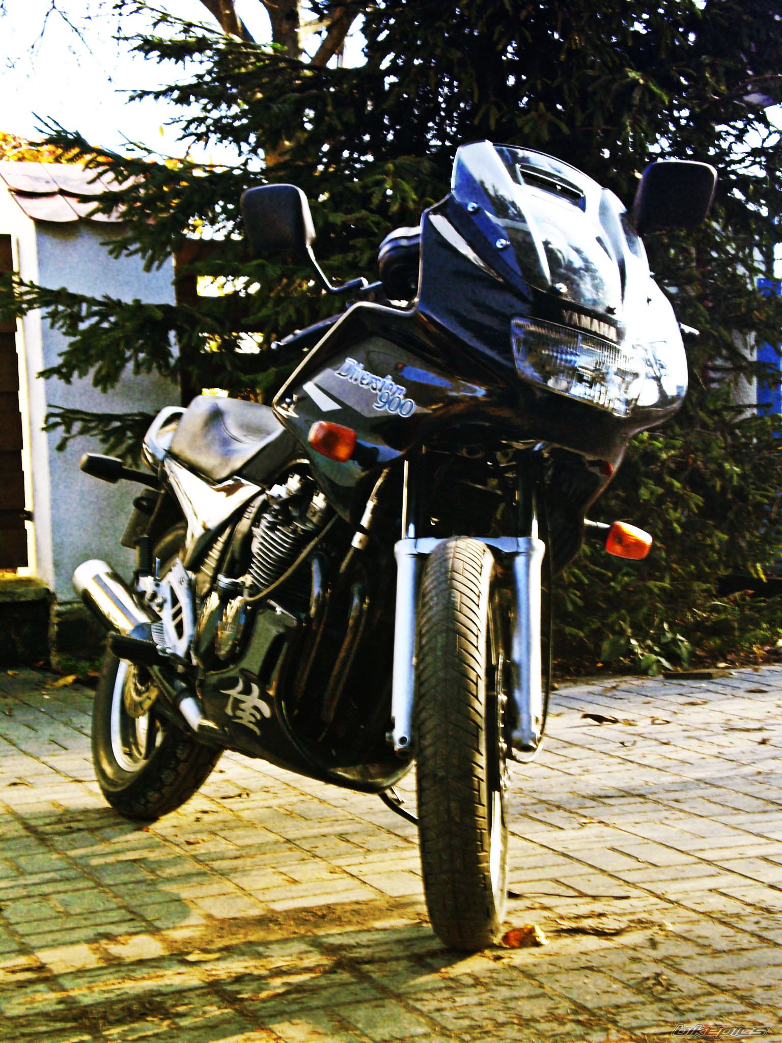 Photo 1467336