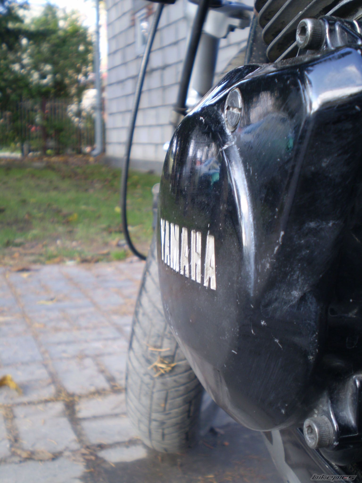 Photo 1467340