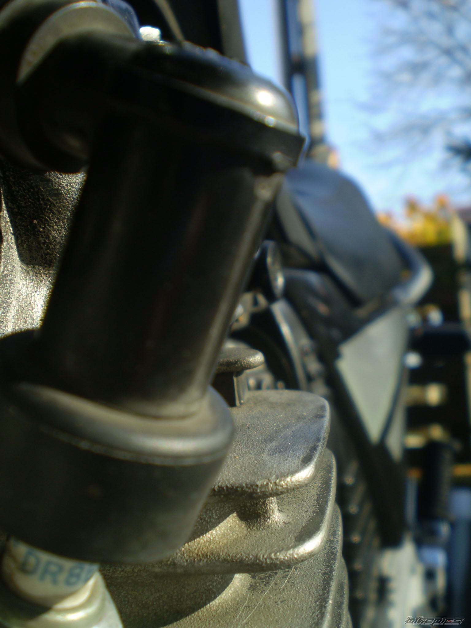 Photo 1467352