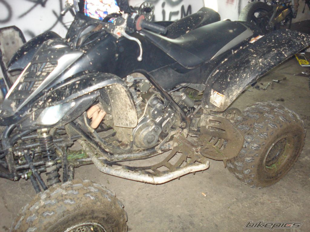 Photo 1467401