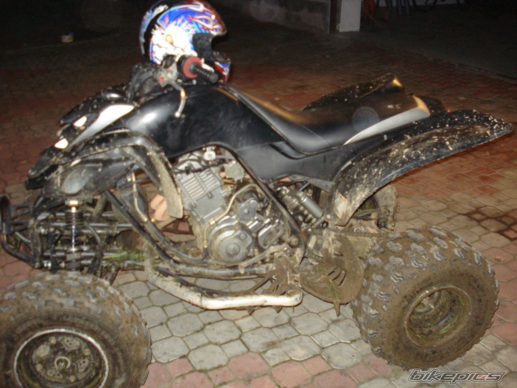 Photo 1467409