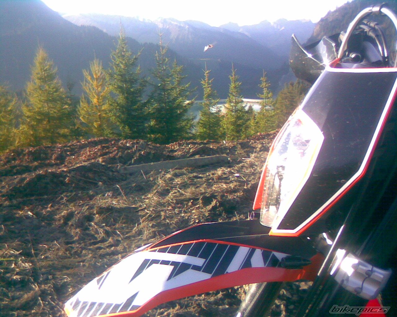 Photo 1467482