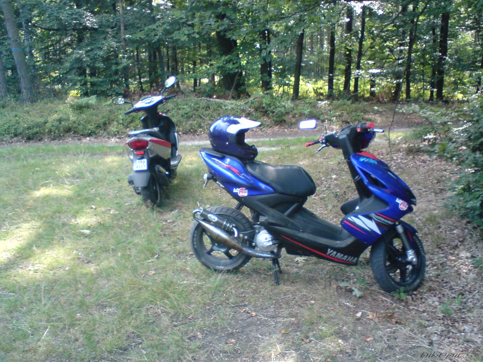 Photo 1467510