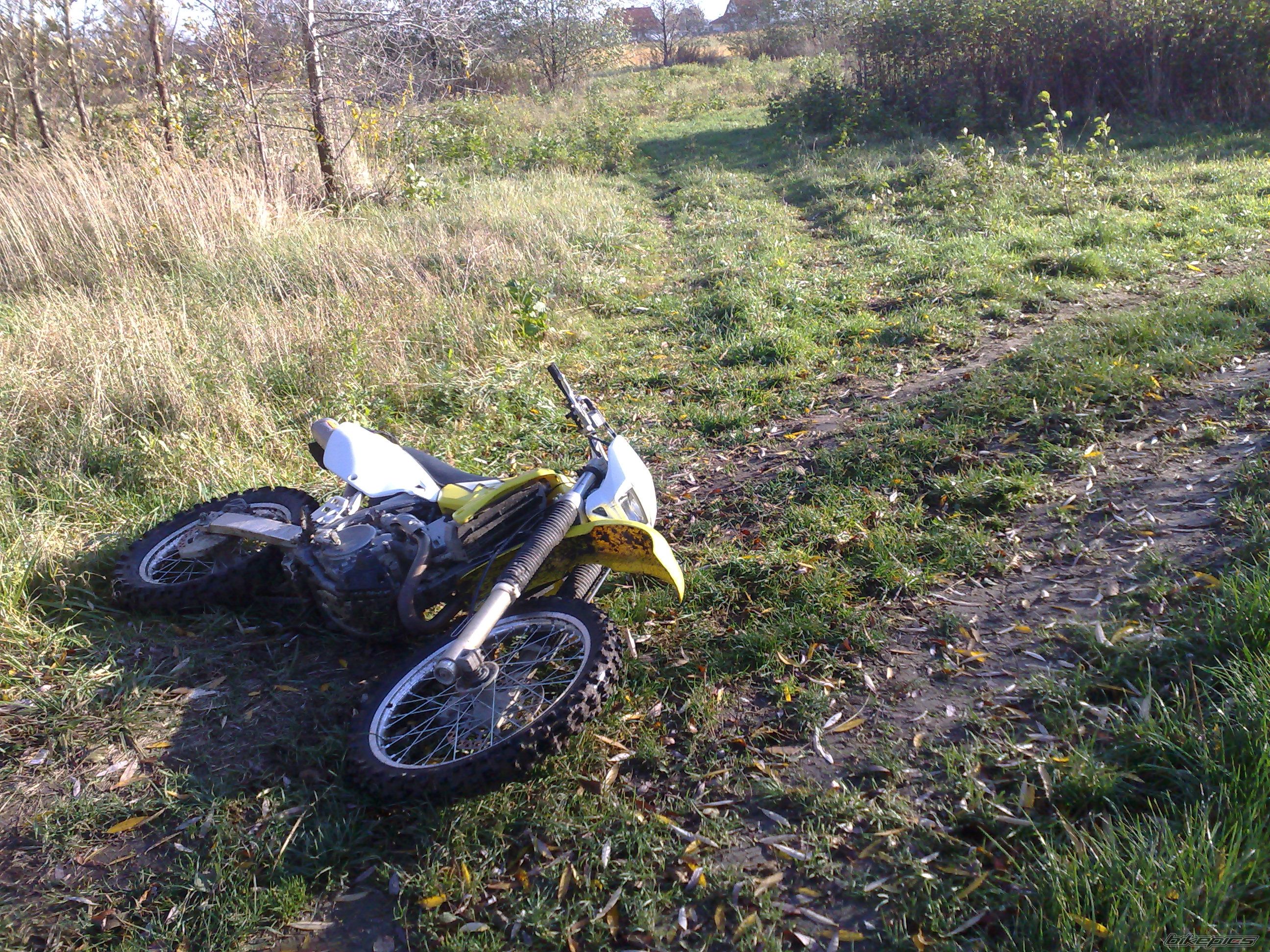 Photo 1467588