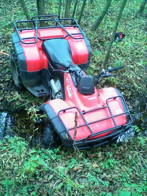 Photo 1467606