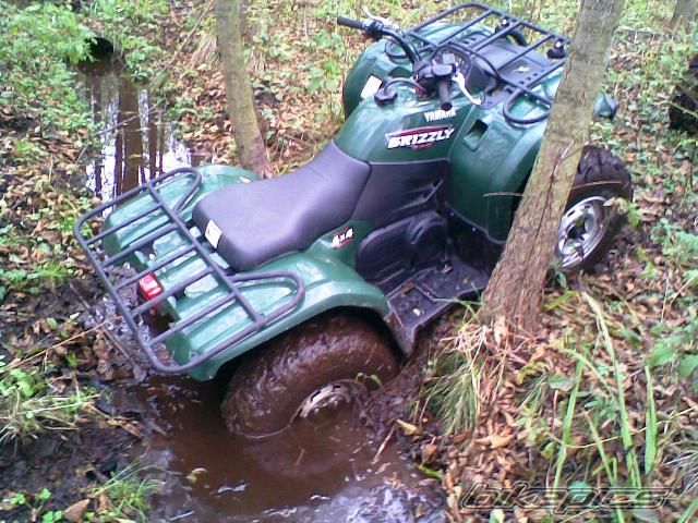 Photo 1467611