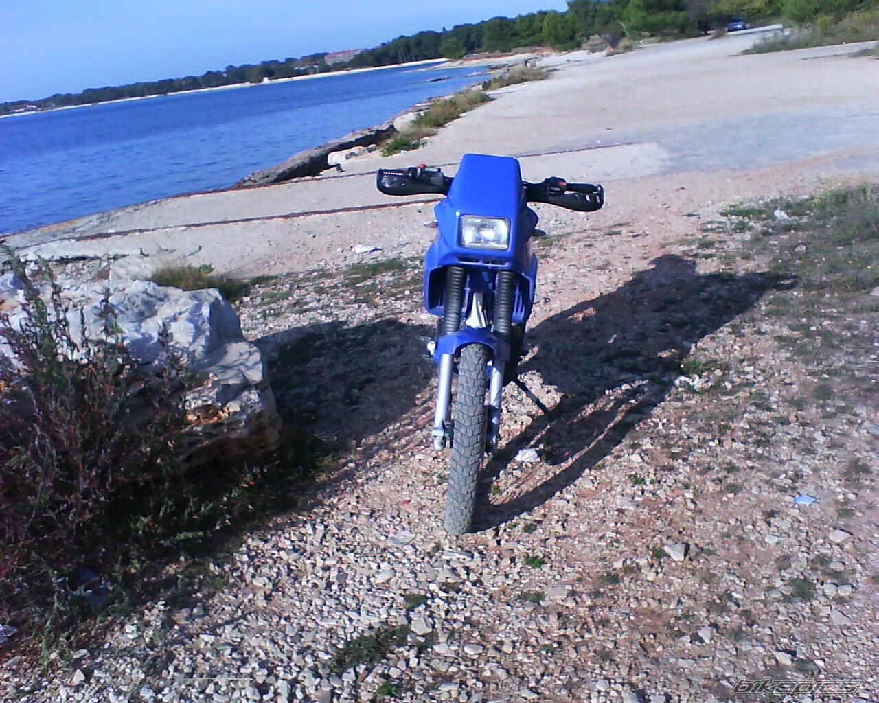 Photo 1467758