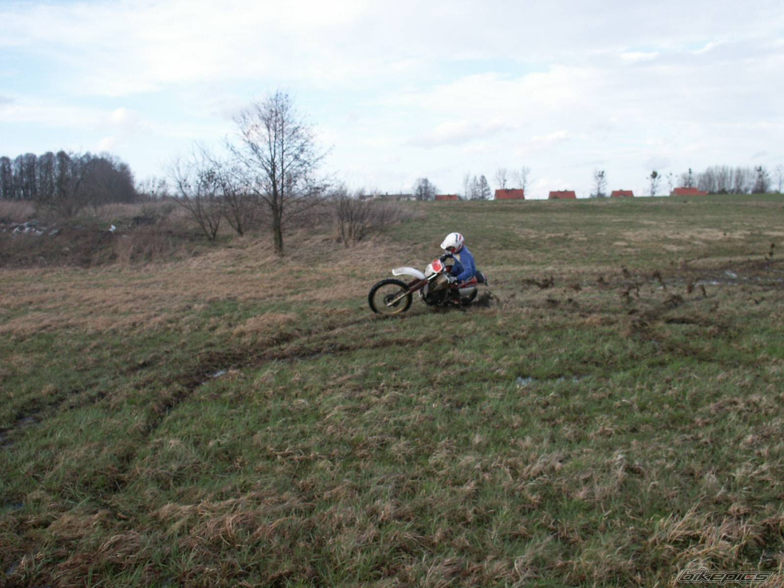 Photo 146783