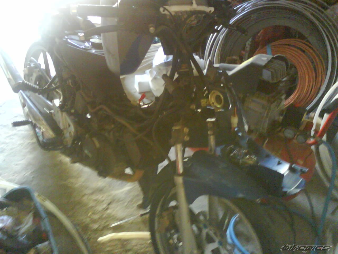 Photo 1467925