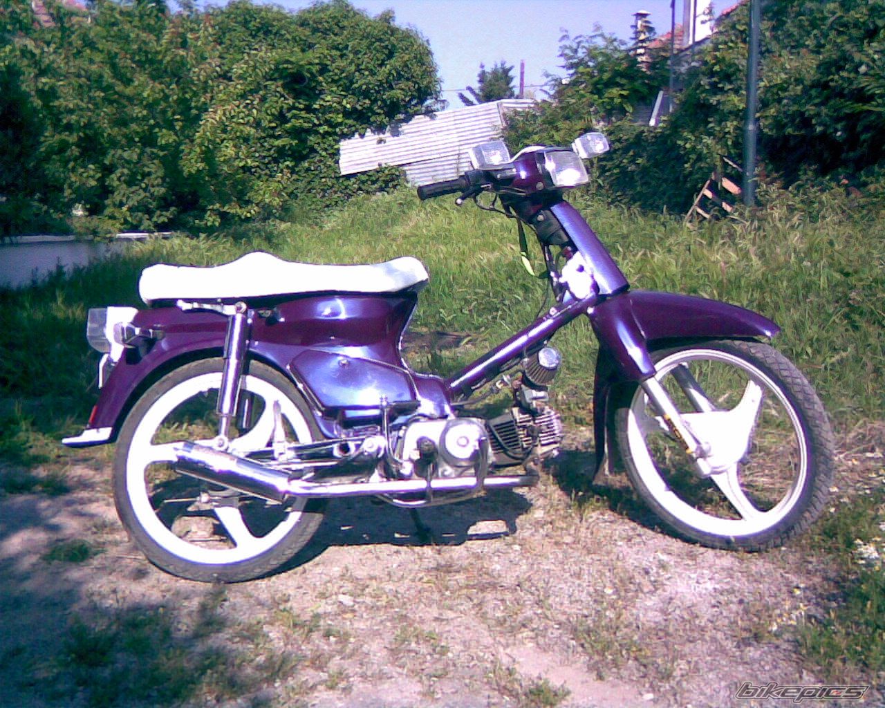 Photo 1467951