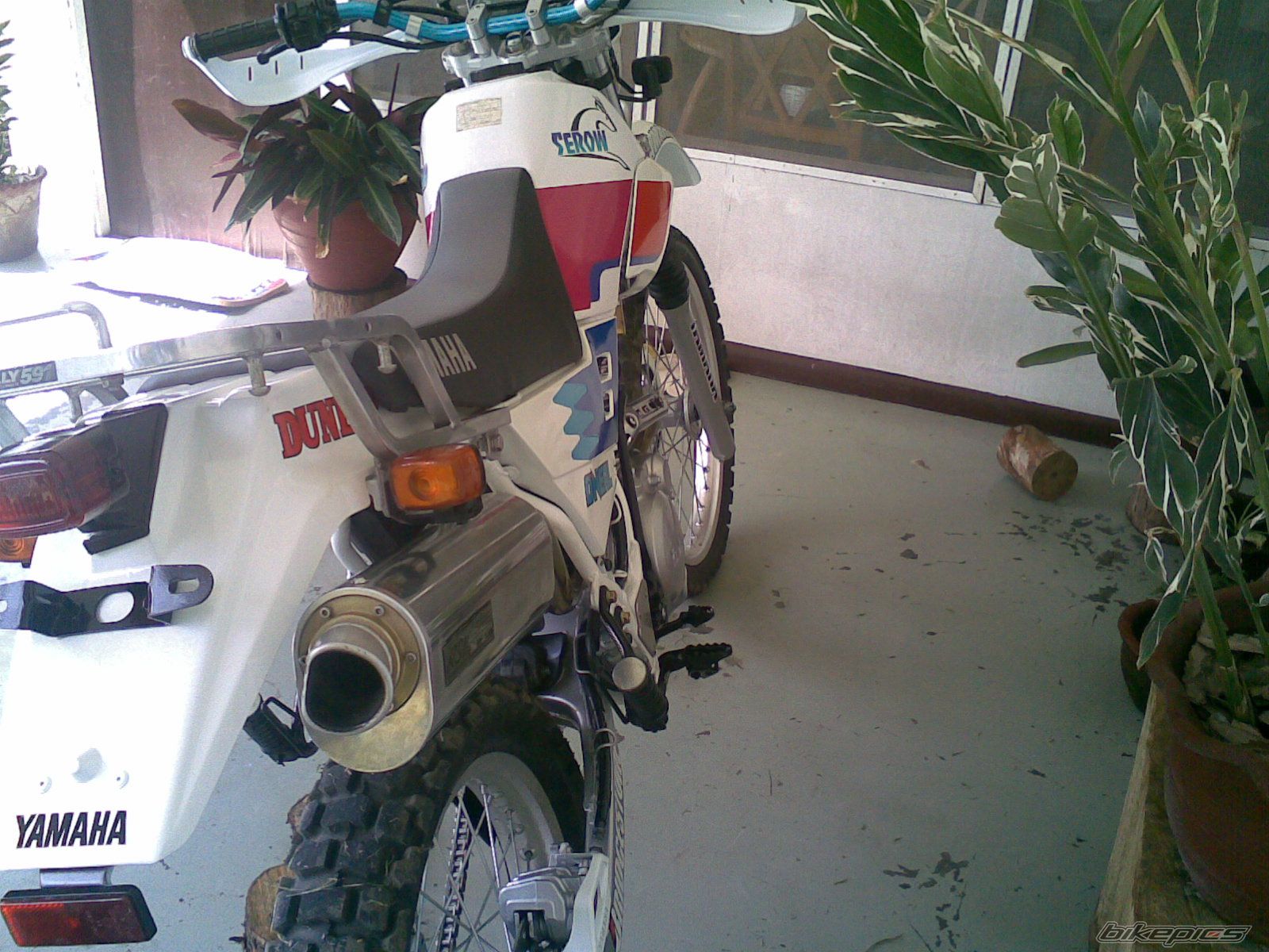 Bike Photo 1468044