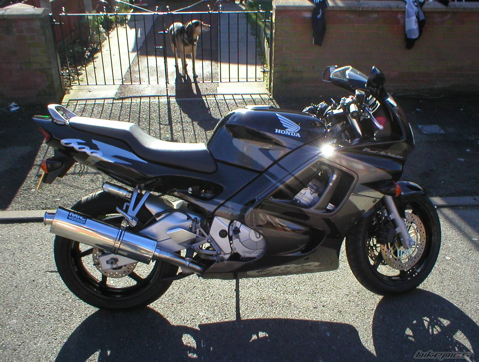 Photo 146807