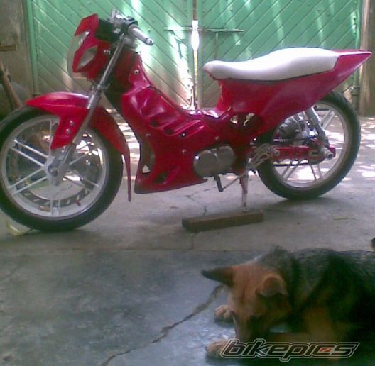 Photo 1468146