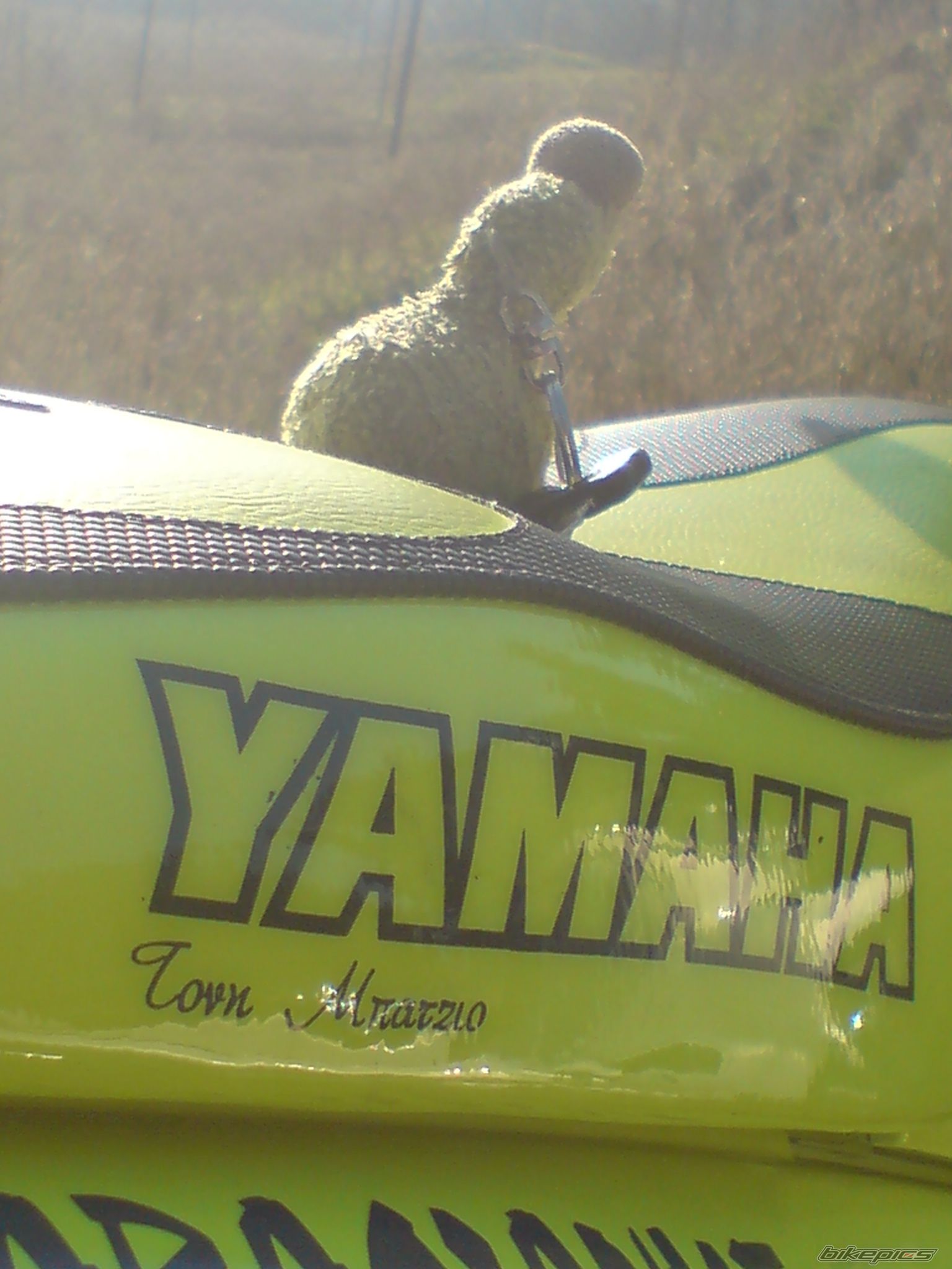 Photo 1468194