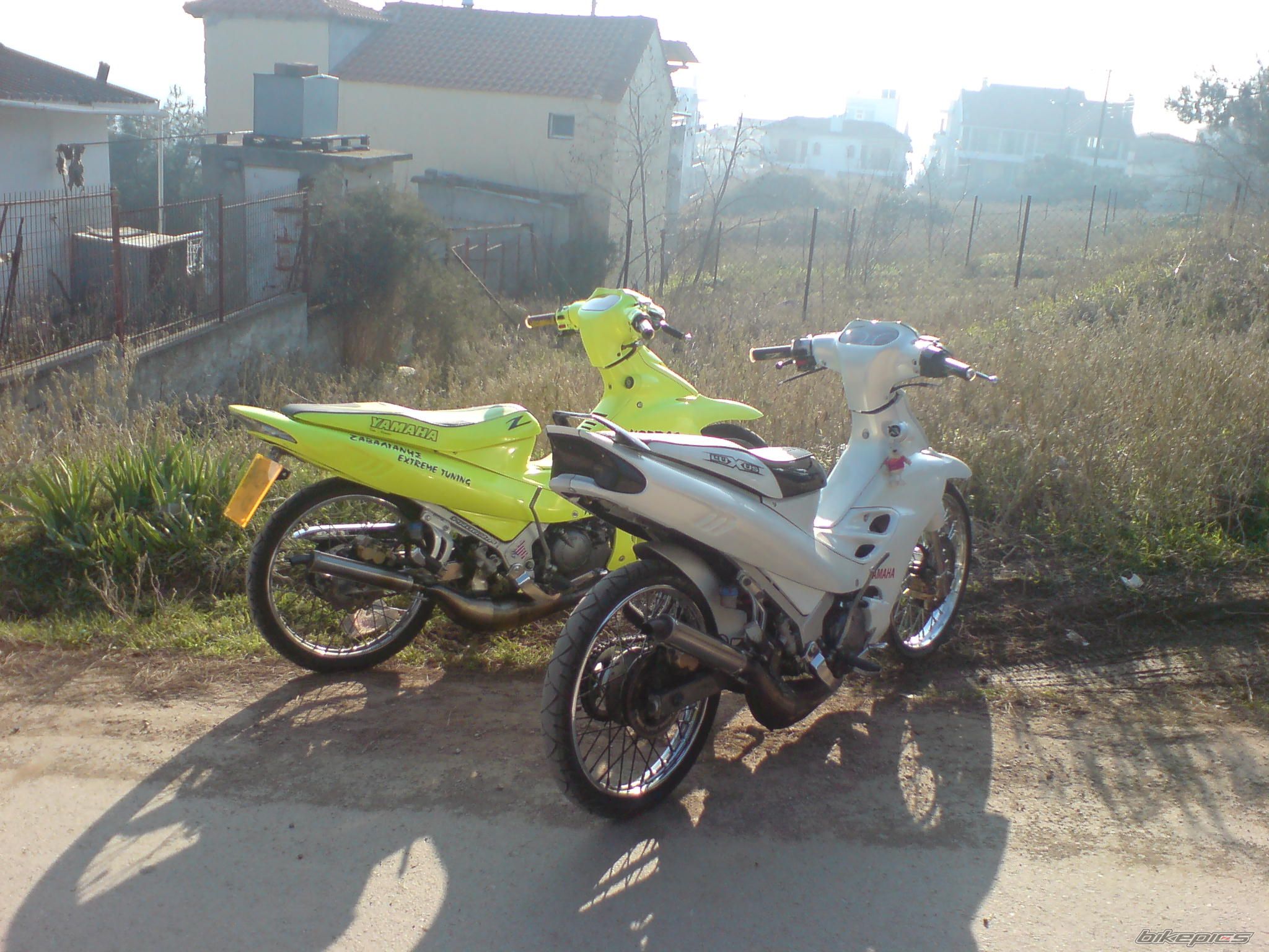 Photo 1468219