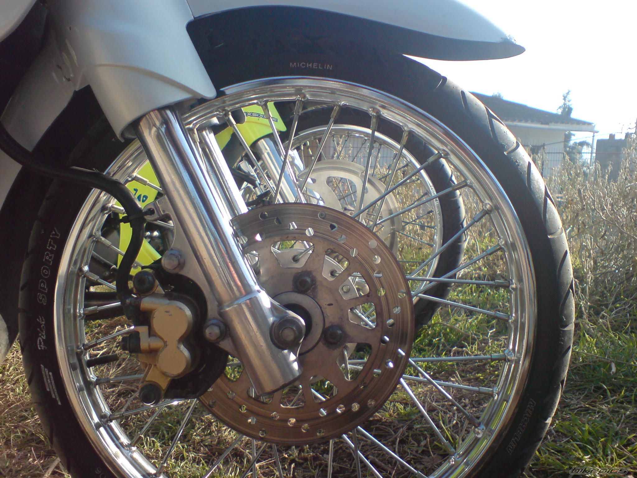 Photo 1468233