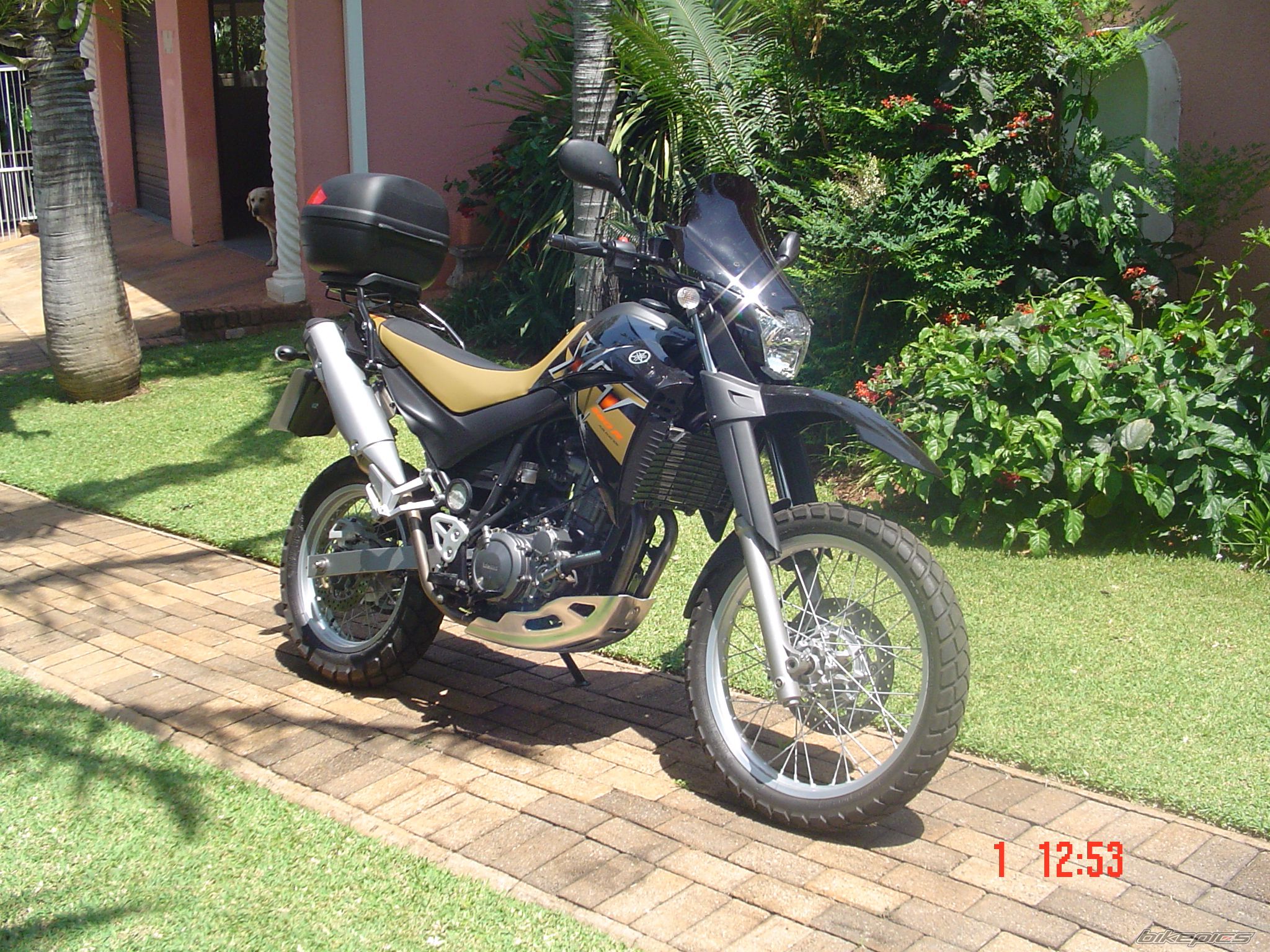 Photo 1468238