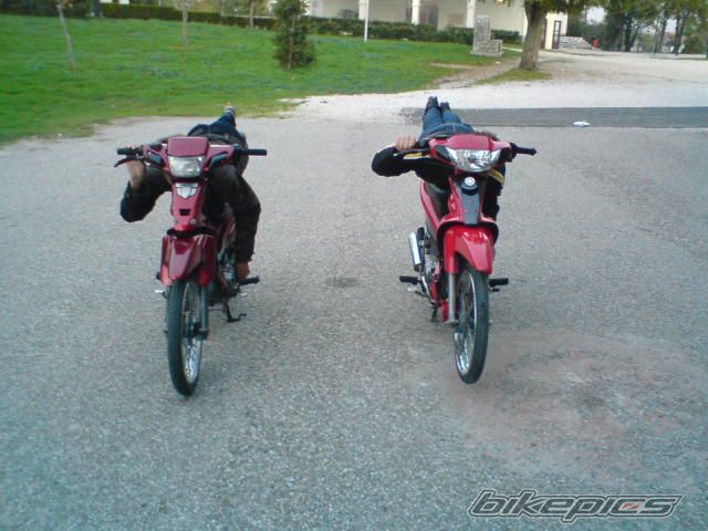 Photo 1468303