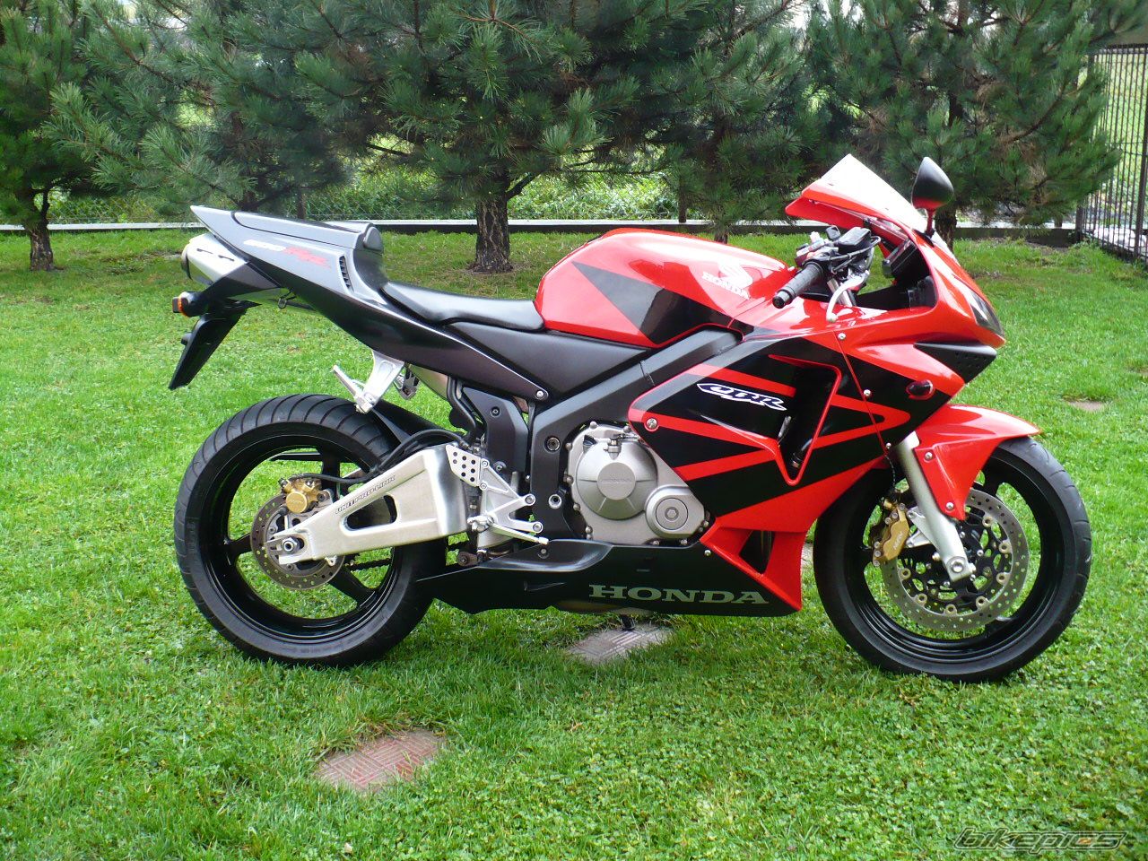 Photo 1468341