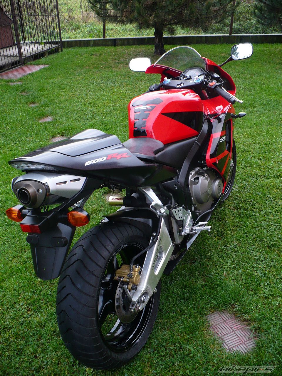 Photo 1468342