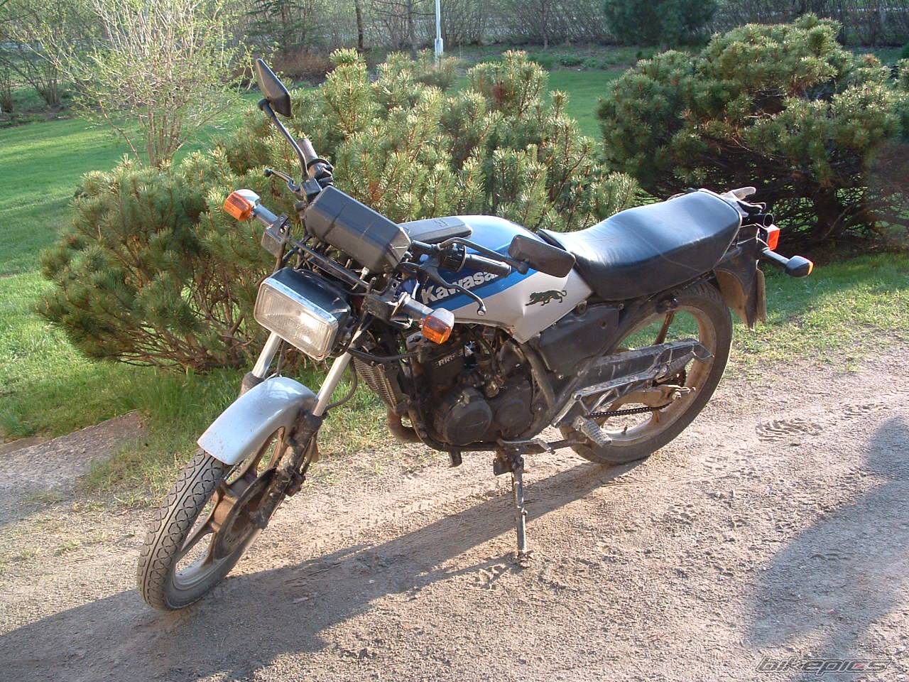 Photo 146836