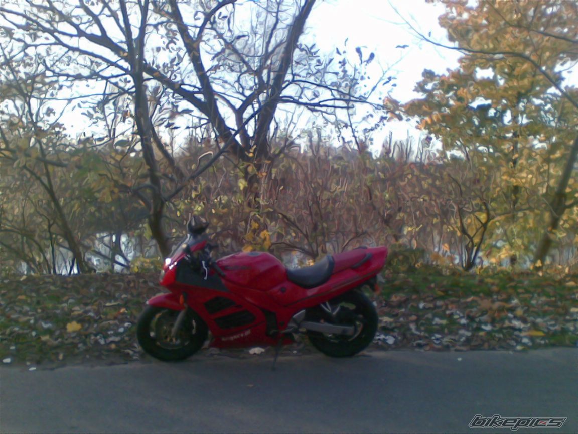 Photo 1468445