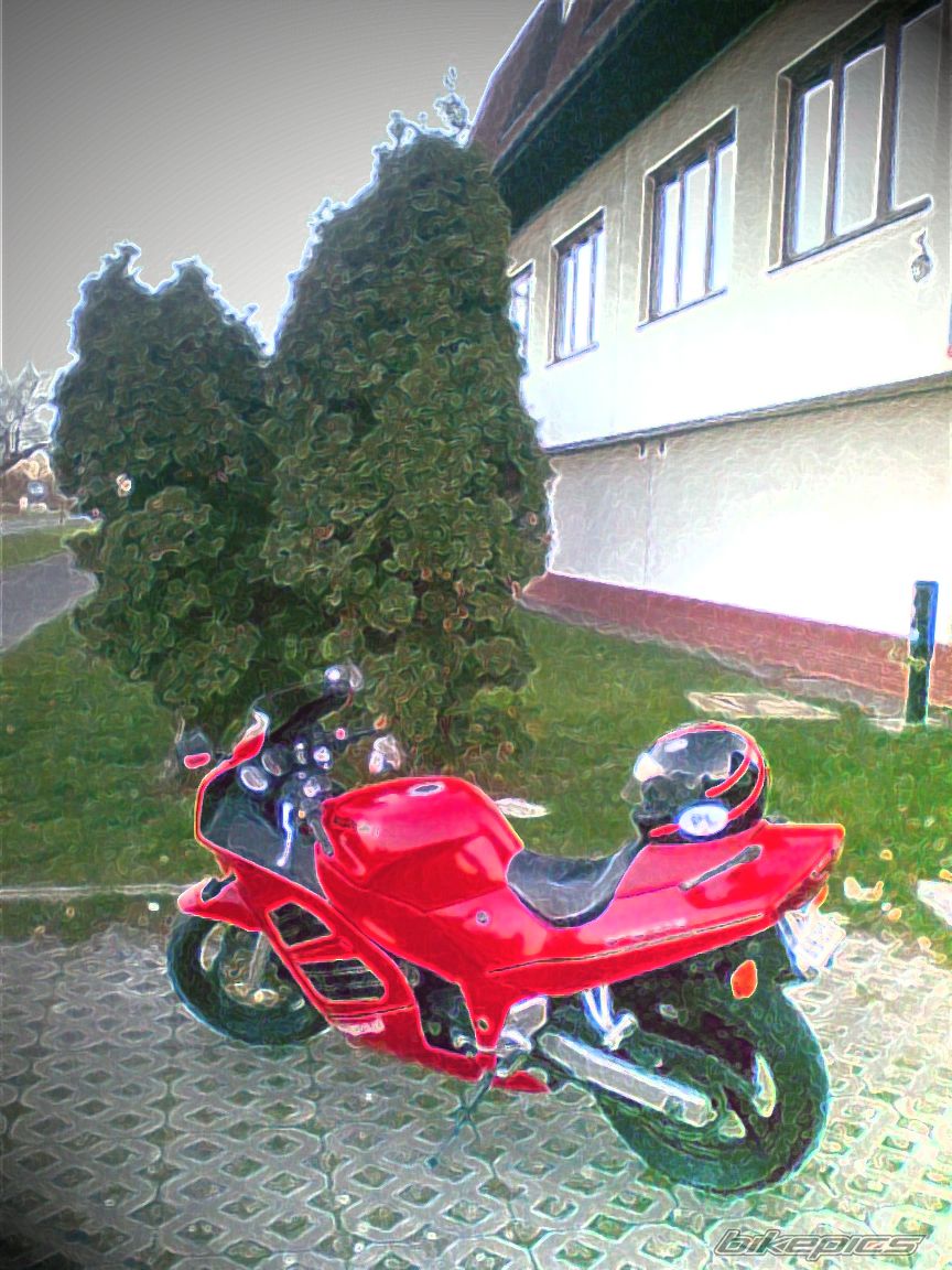 Photo 1468447