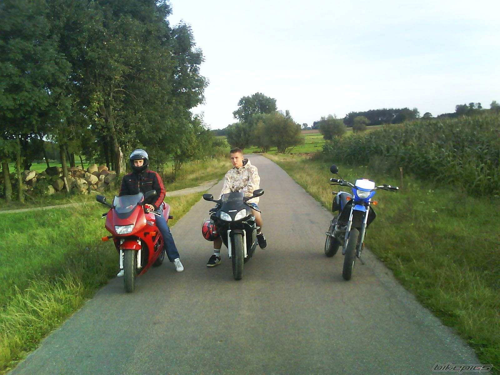 Photo 1468517