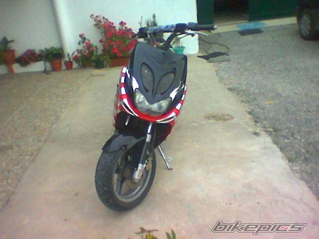 Photo 146862