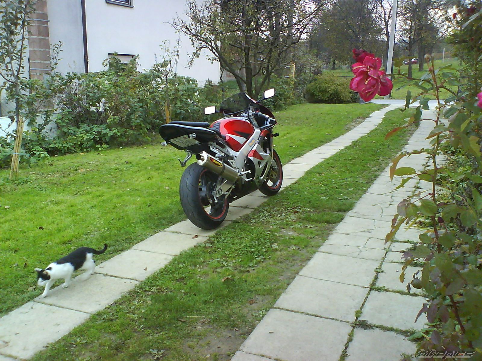 Bike Photo 1468626