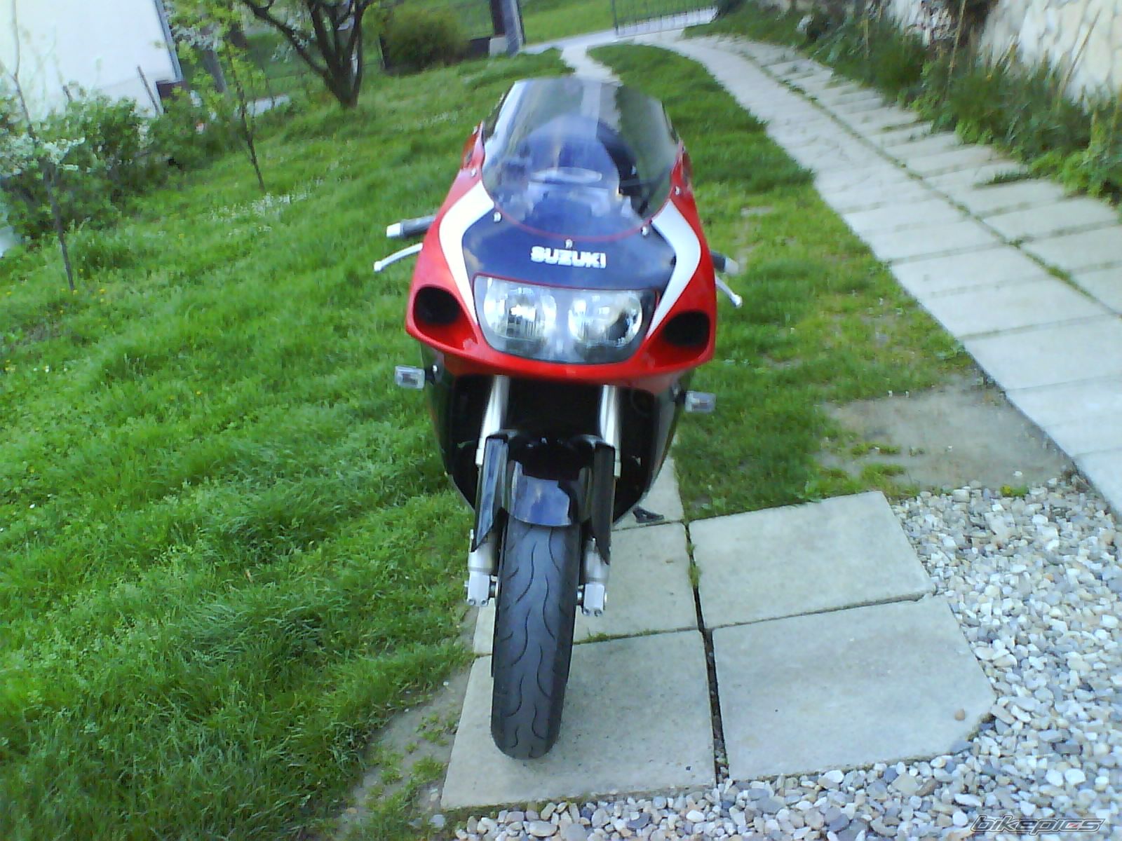 Photo 1468630