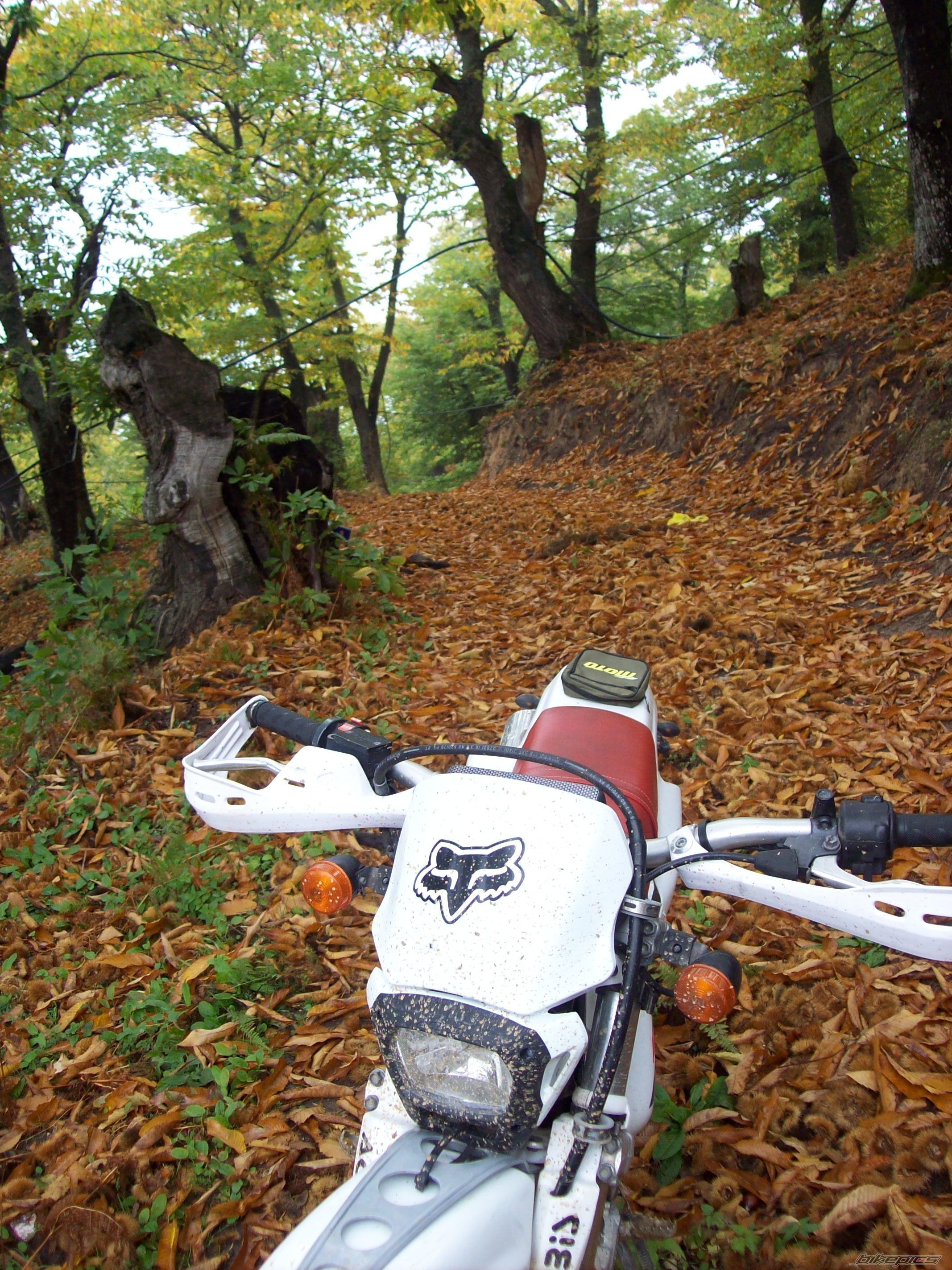 Photo 1468641