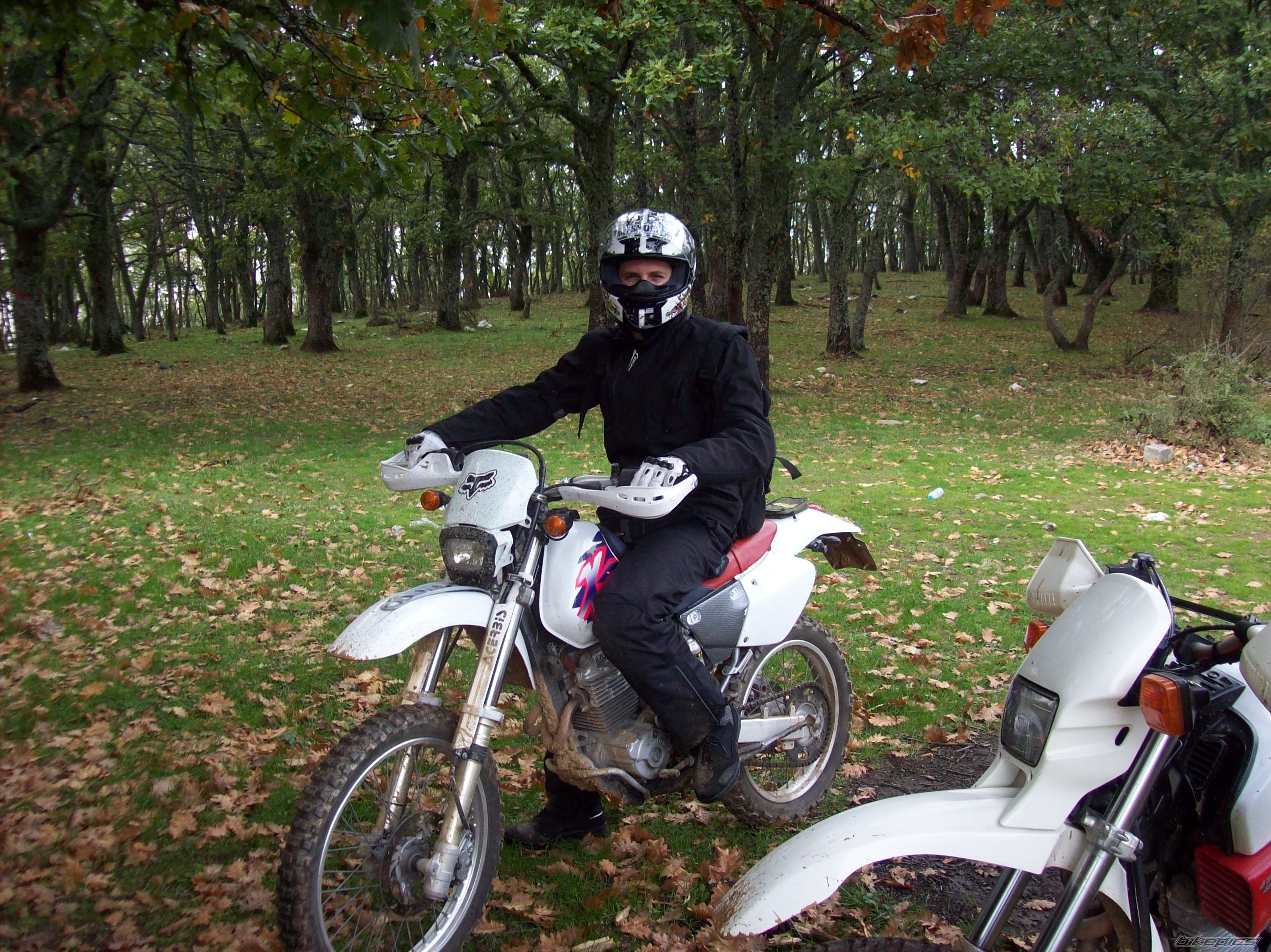 Bike Photo 1468644