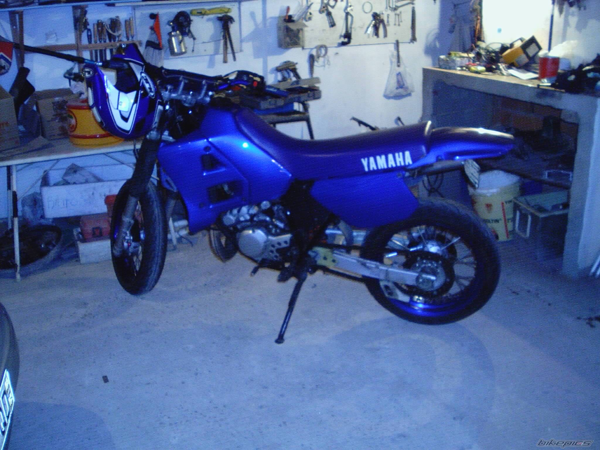 Photo 146866