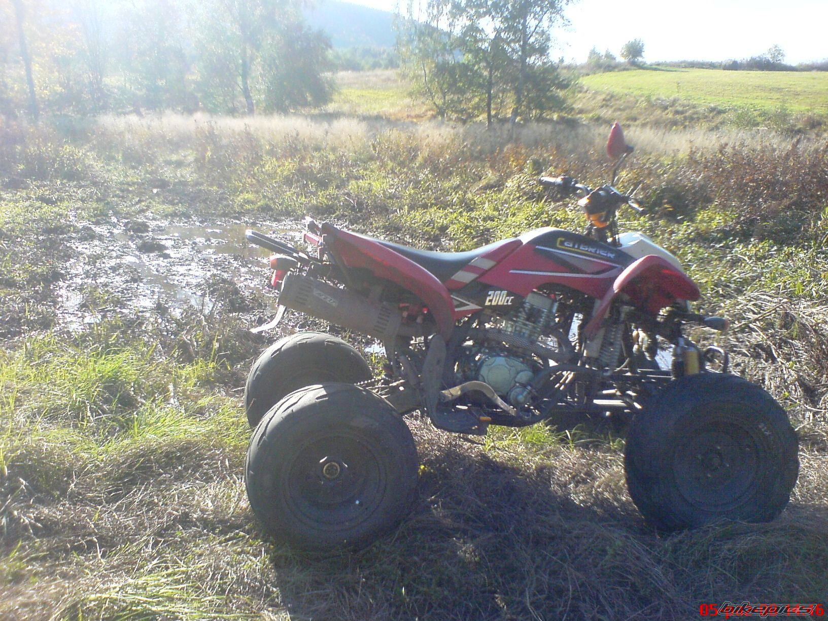 Photo 1468665