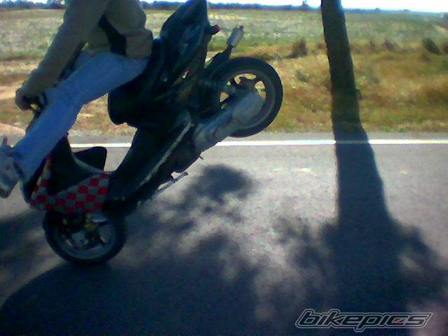 Photo 146868