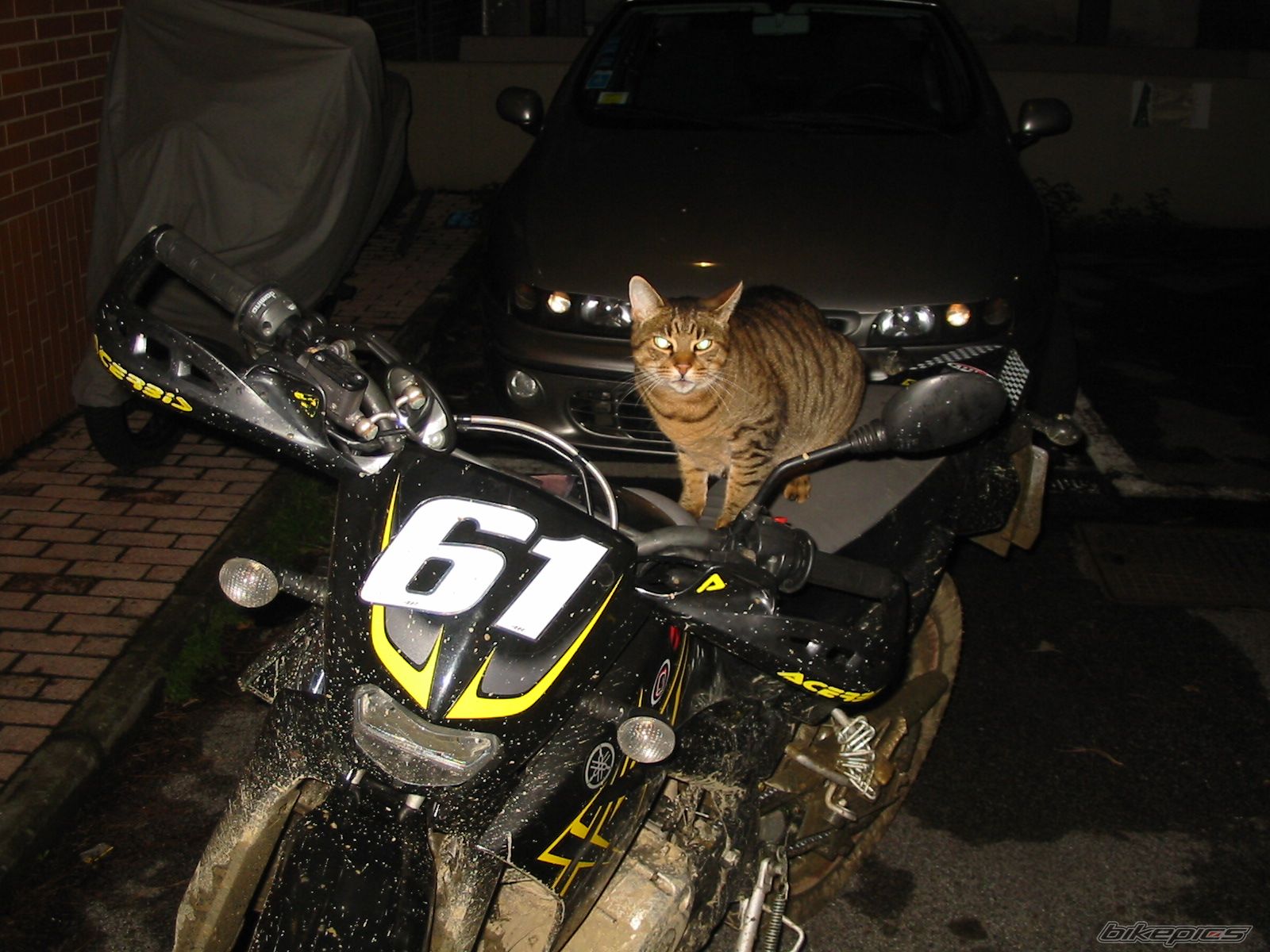 Bike Photo 1468690
