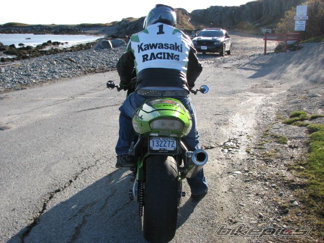 Photo 1468714