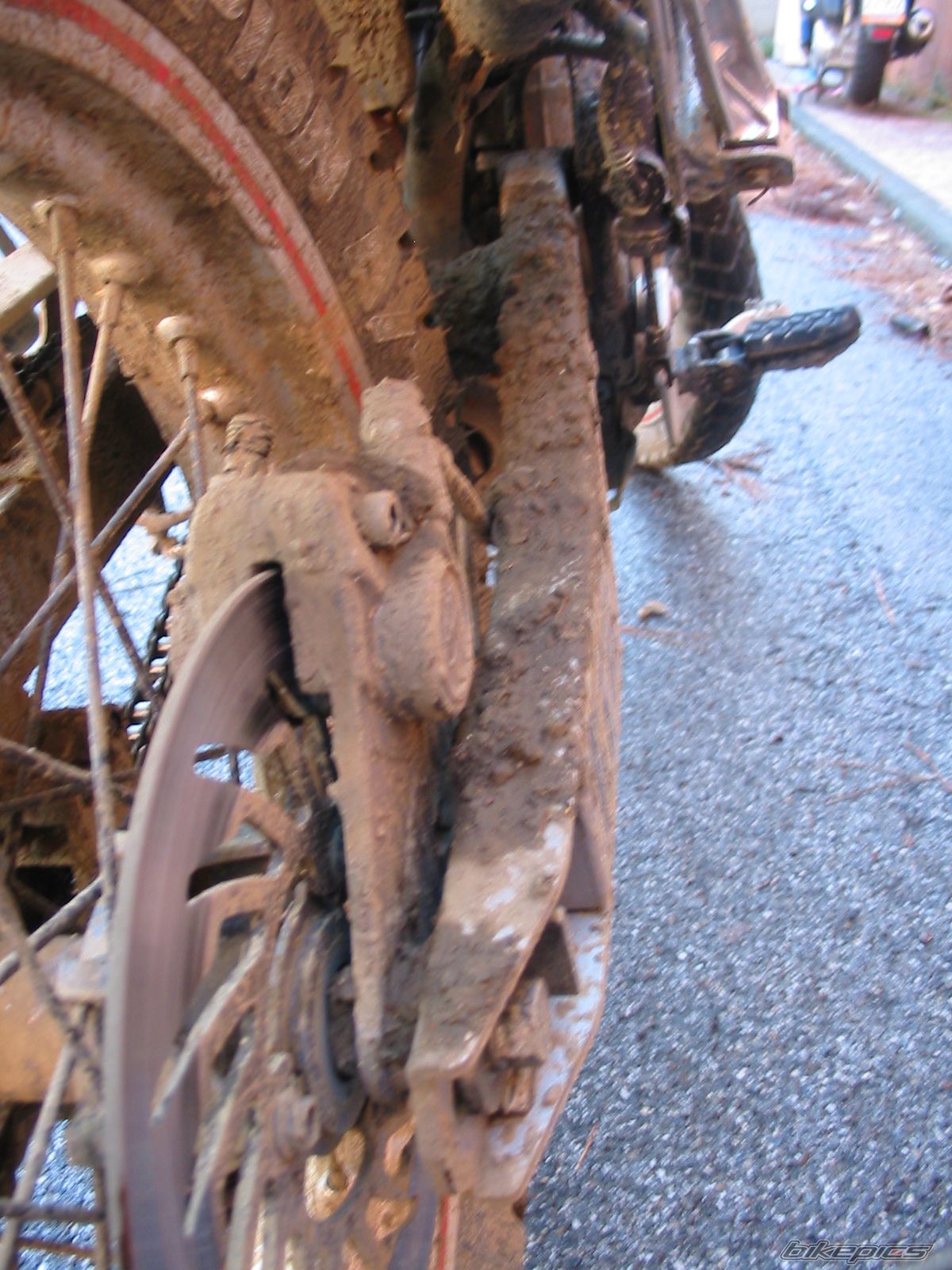 Photo 1468717