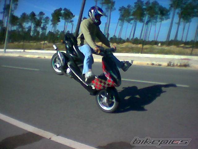 Photo 146874