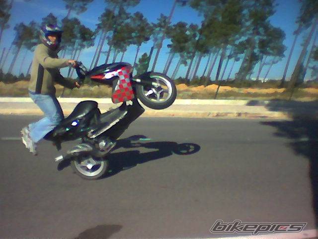 Photo 146875
