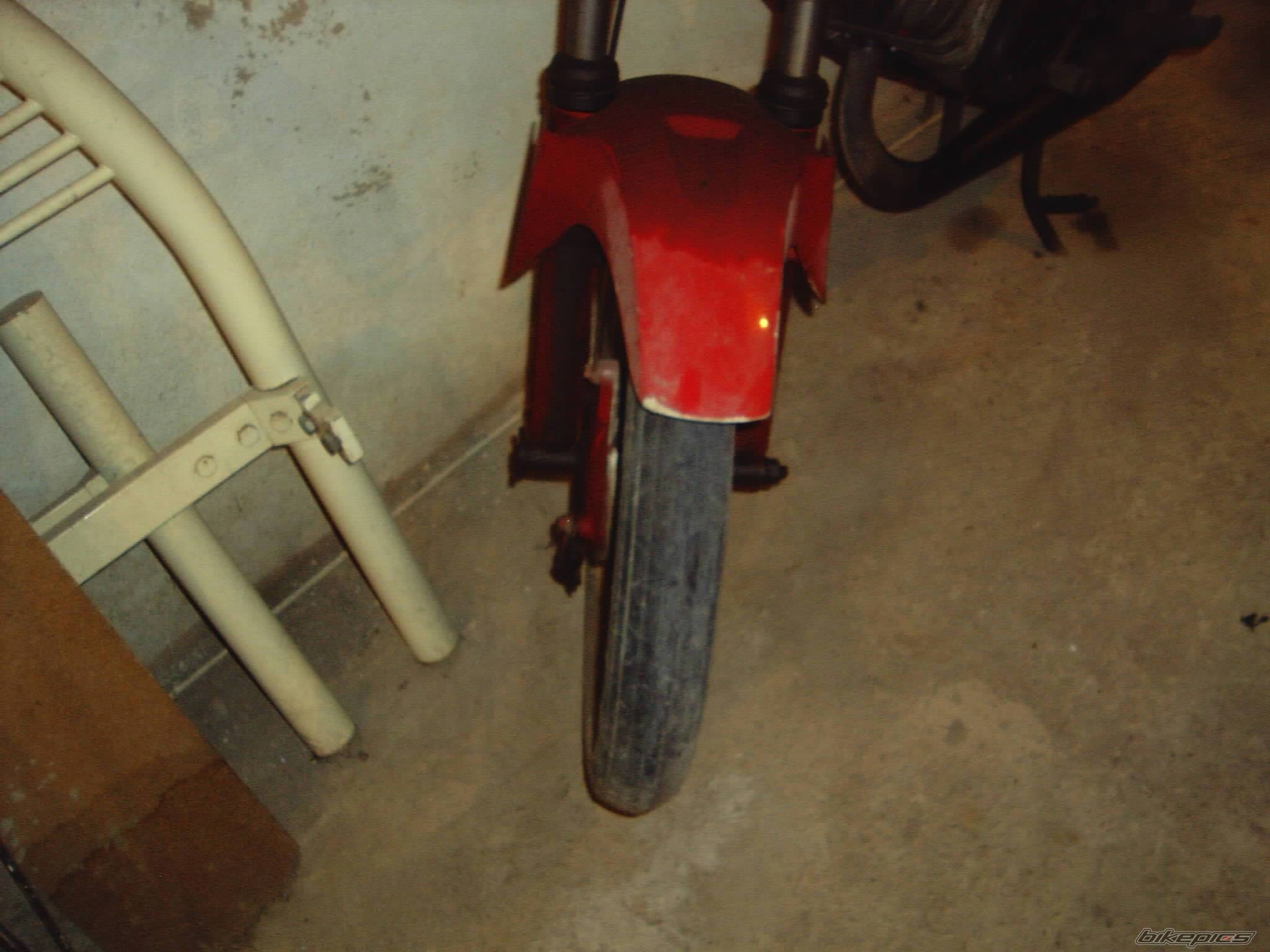 Photo 146882