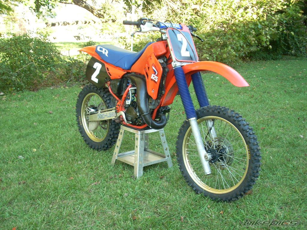 Photo 1468823