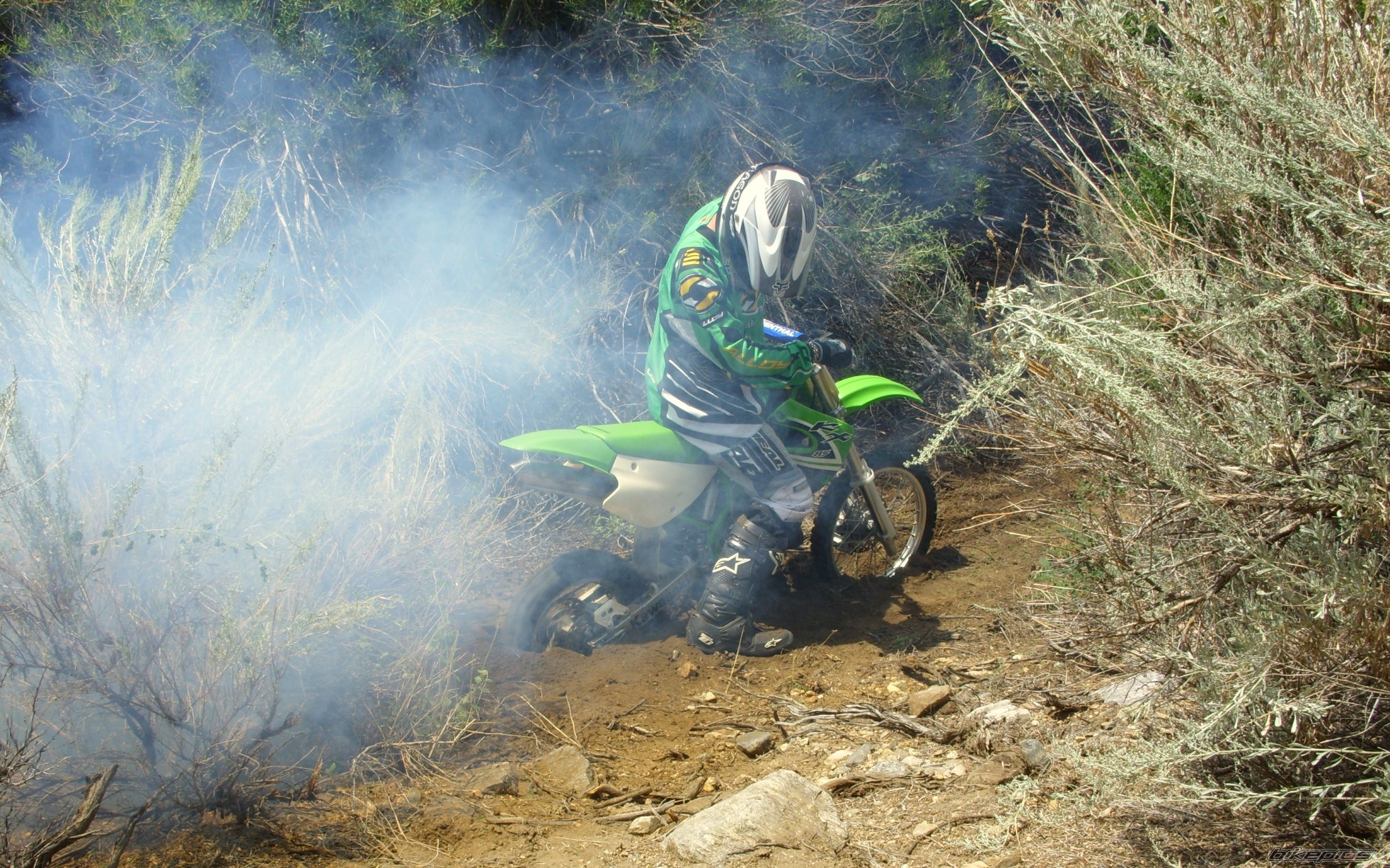 Photo 1468832
