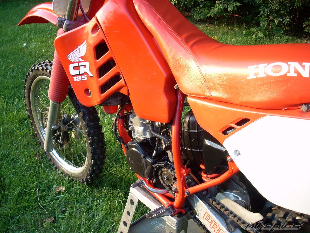 Photo 1468841